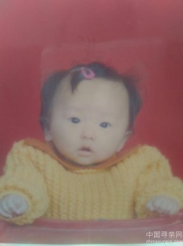 失踪人员：我要找姐姐